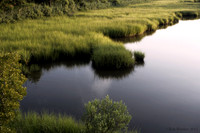 secretMarsh